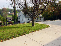 Figure 2: Crabapple tree at the urban residence site used by Blarina brevicauda for nesting. (Photo by author.) 